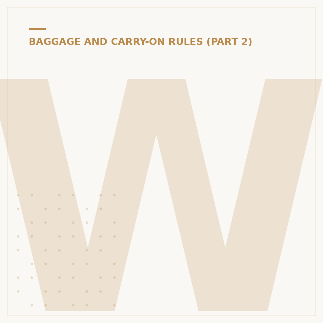 Wheeled Cabin Bag: Size, Weight & Airline Rules