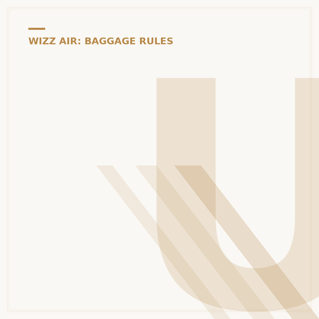 Understanding Wizz Air Baggage Charges