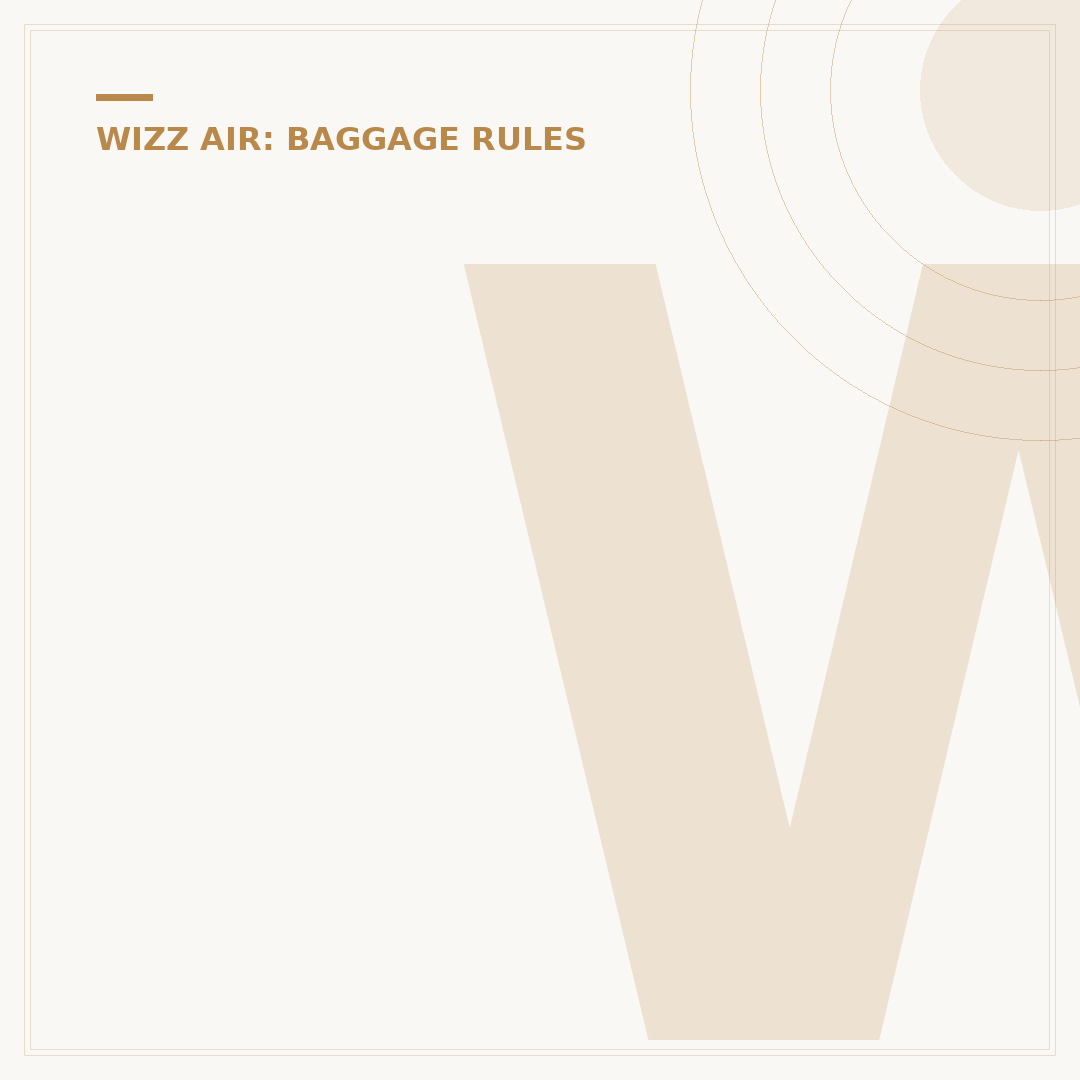 Wizz Air Cabin Bag Size & Allowance Explained