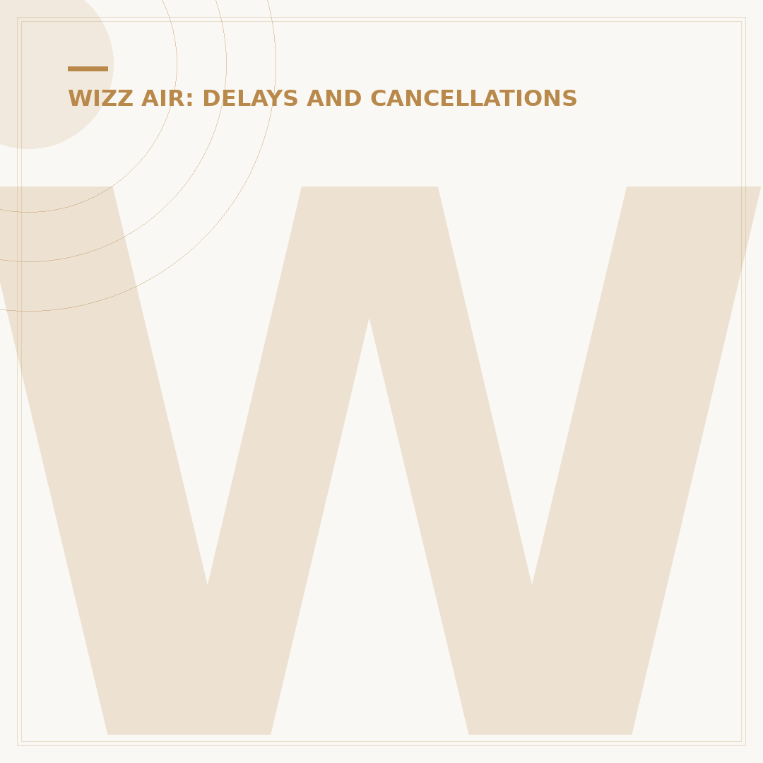 Wizz Air Flight Delay Policy Explained