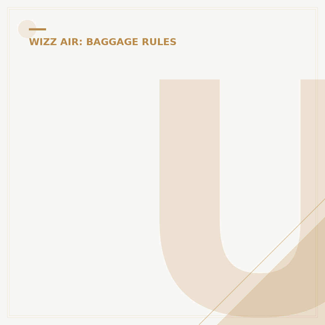 Understanding Wizz Air Priority Bag Size Restrictions