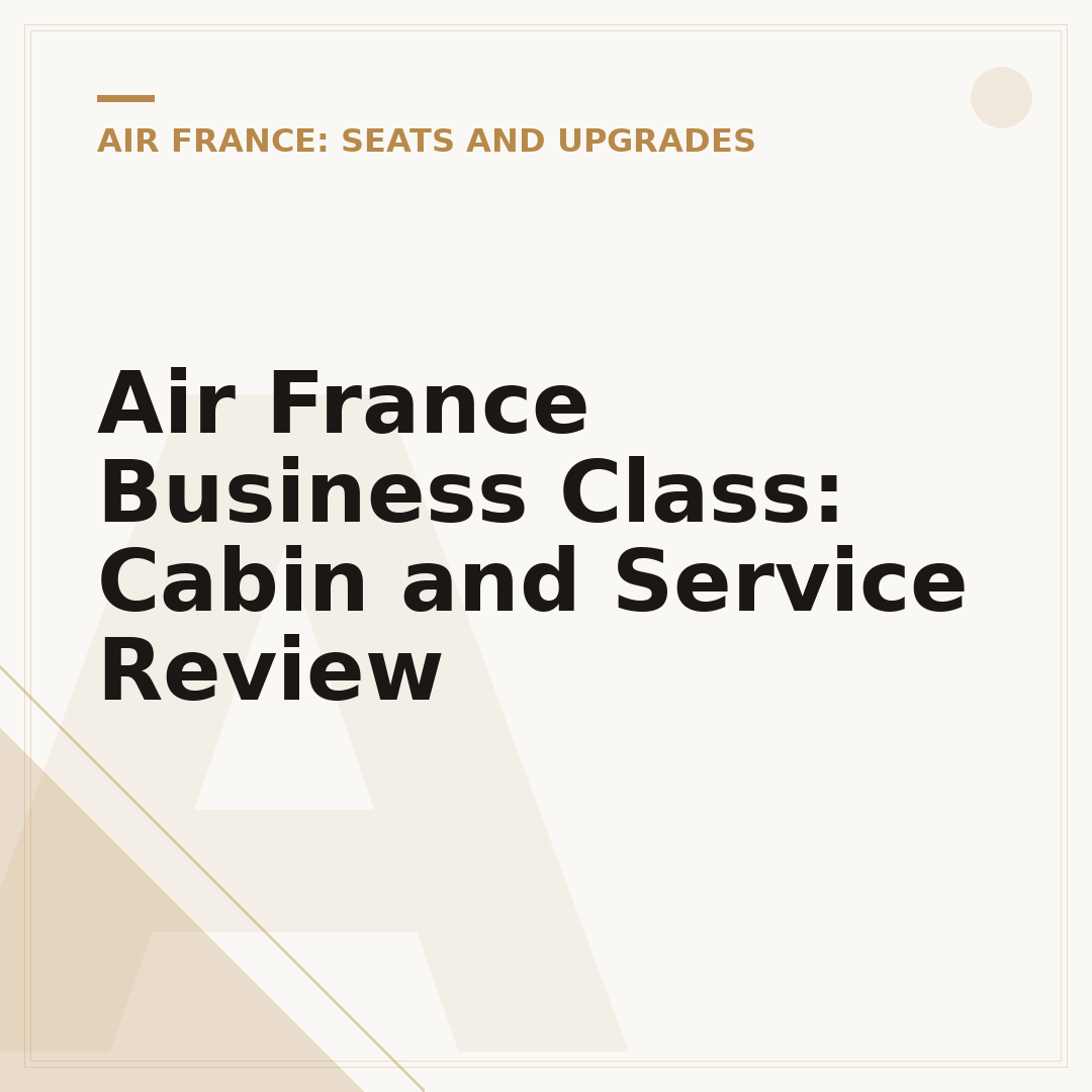 Air France Business Class: Cabin and Service Review