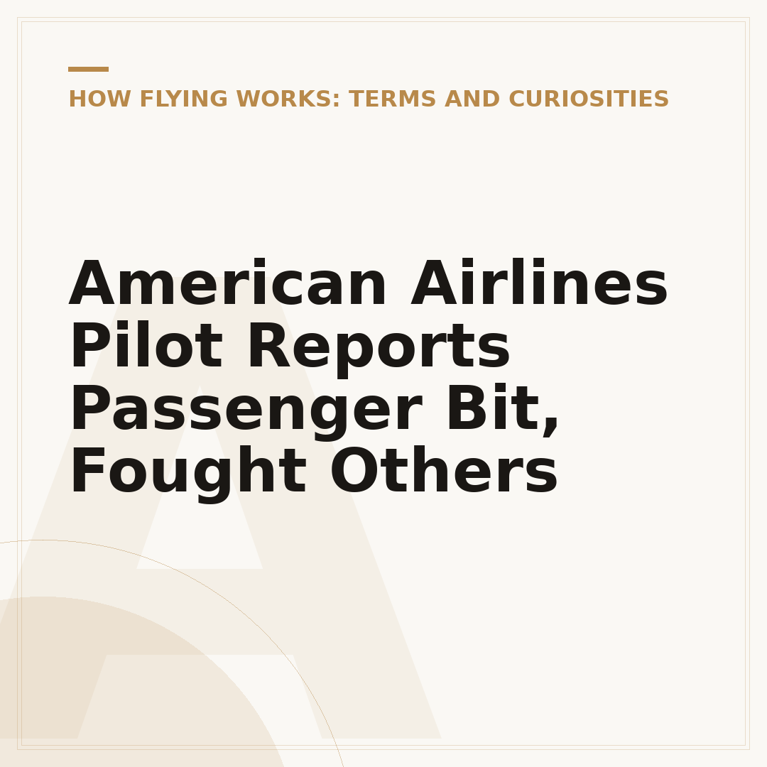 American Airlines Pilot Reports Passenger Bit, Fought Others