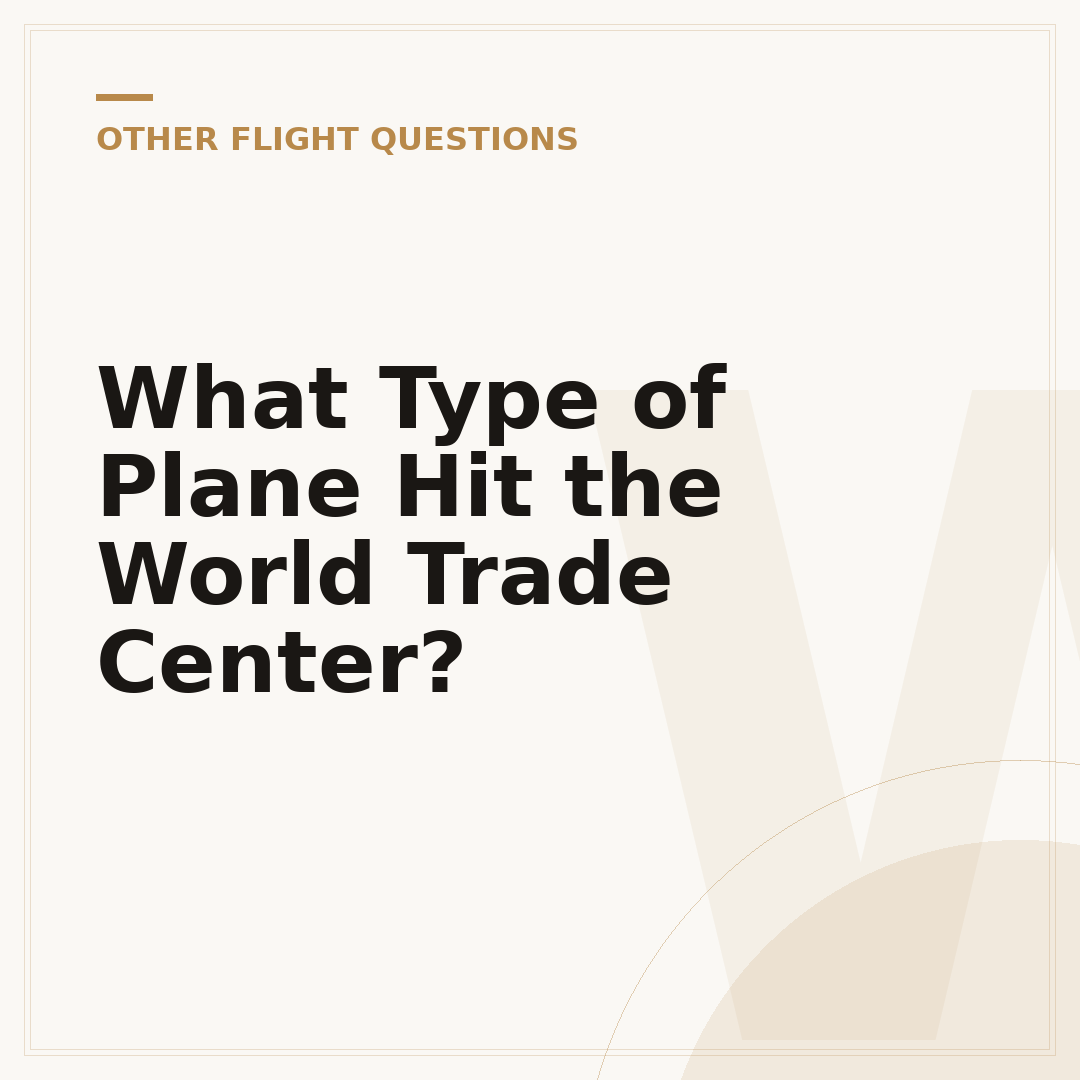 What Type of Plane Hit the World Trade Center?