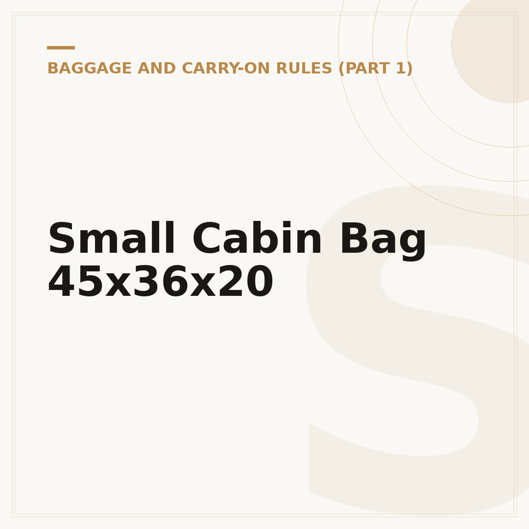 Small Cabin Bag 45x36x20
