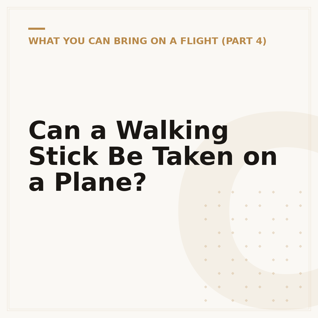Can a Walking Stick Be Taken on a Plane?