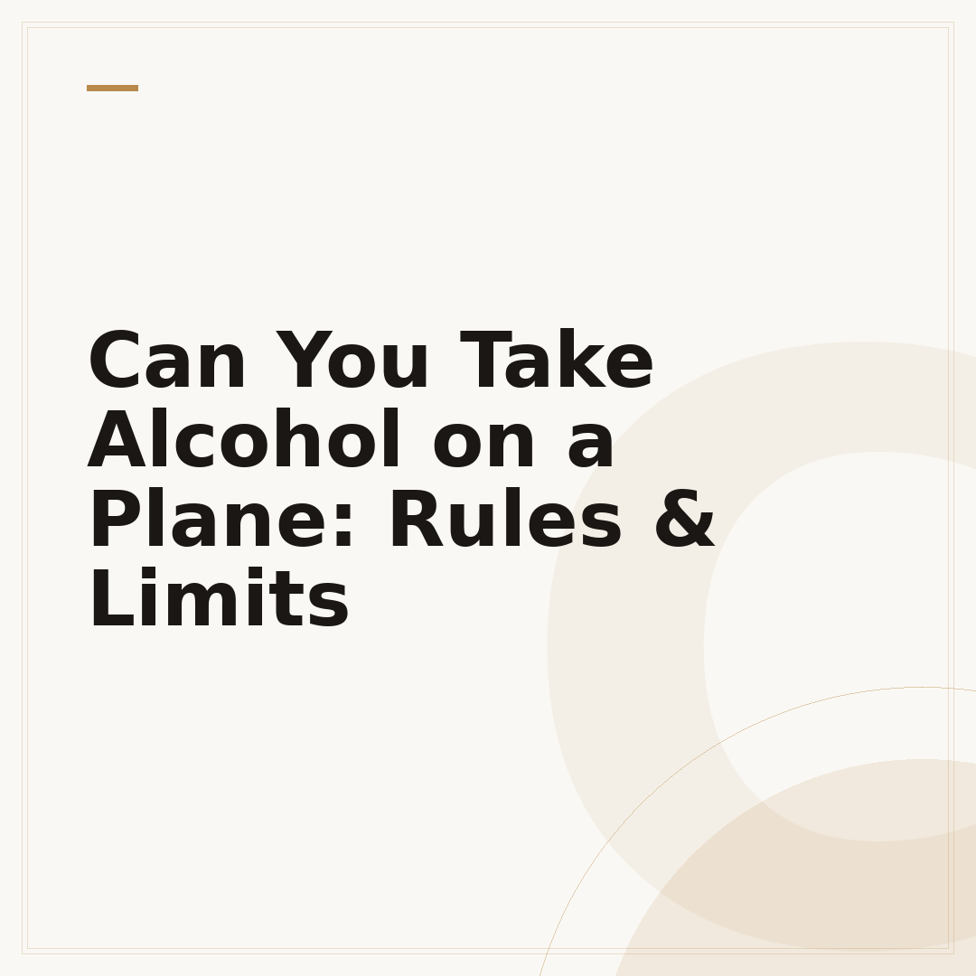 Can You Take Alcohol on a Plane: Rules & Limits