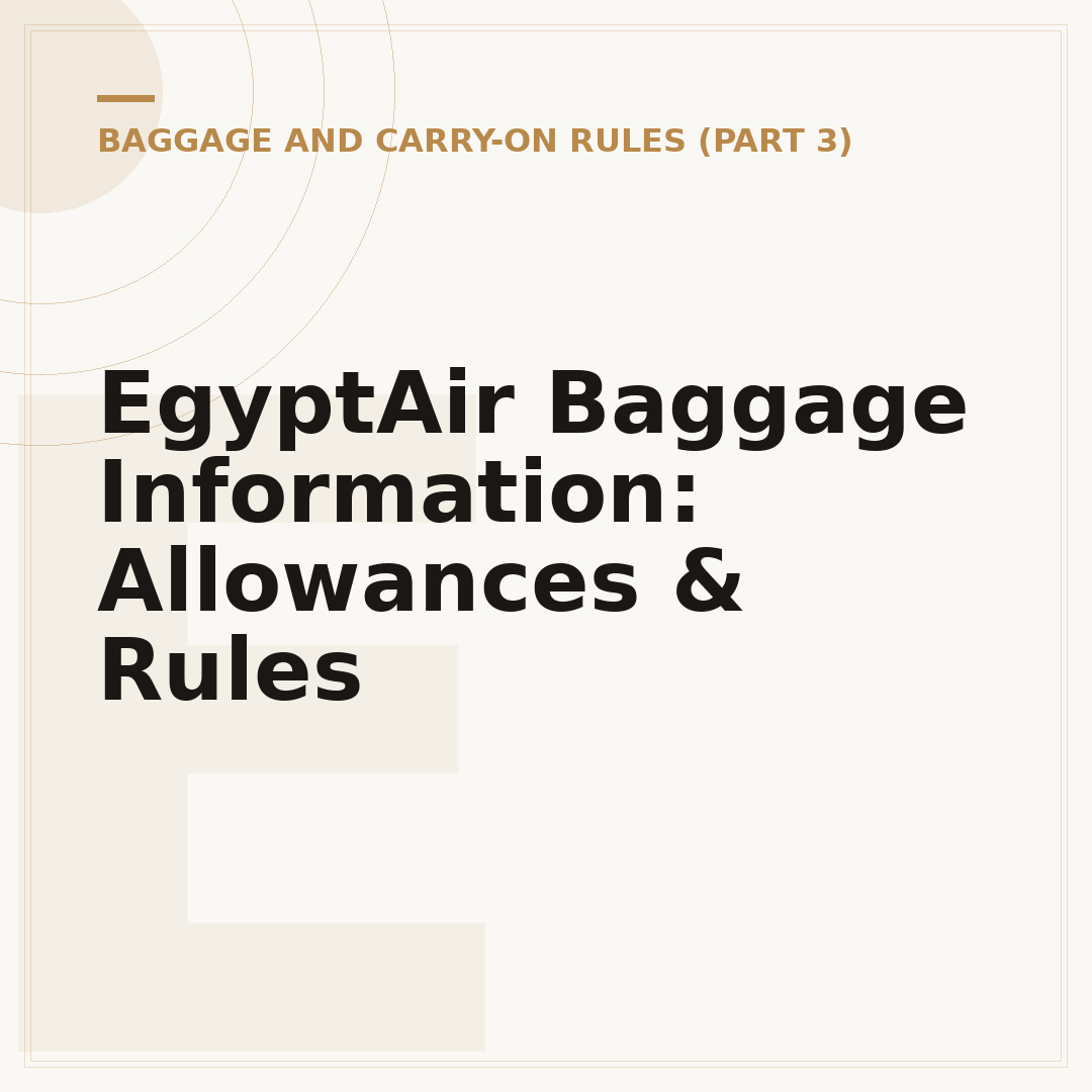 EgyptAir Baggage Information: Allowances & Rules
