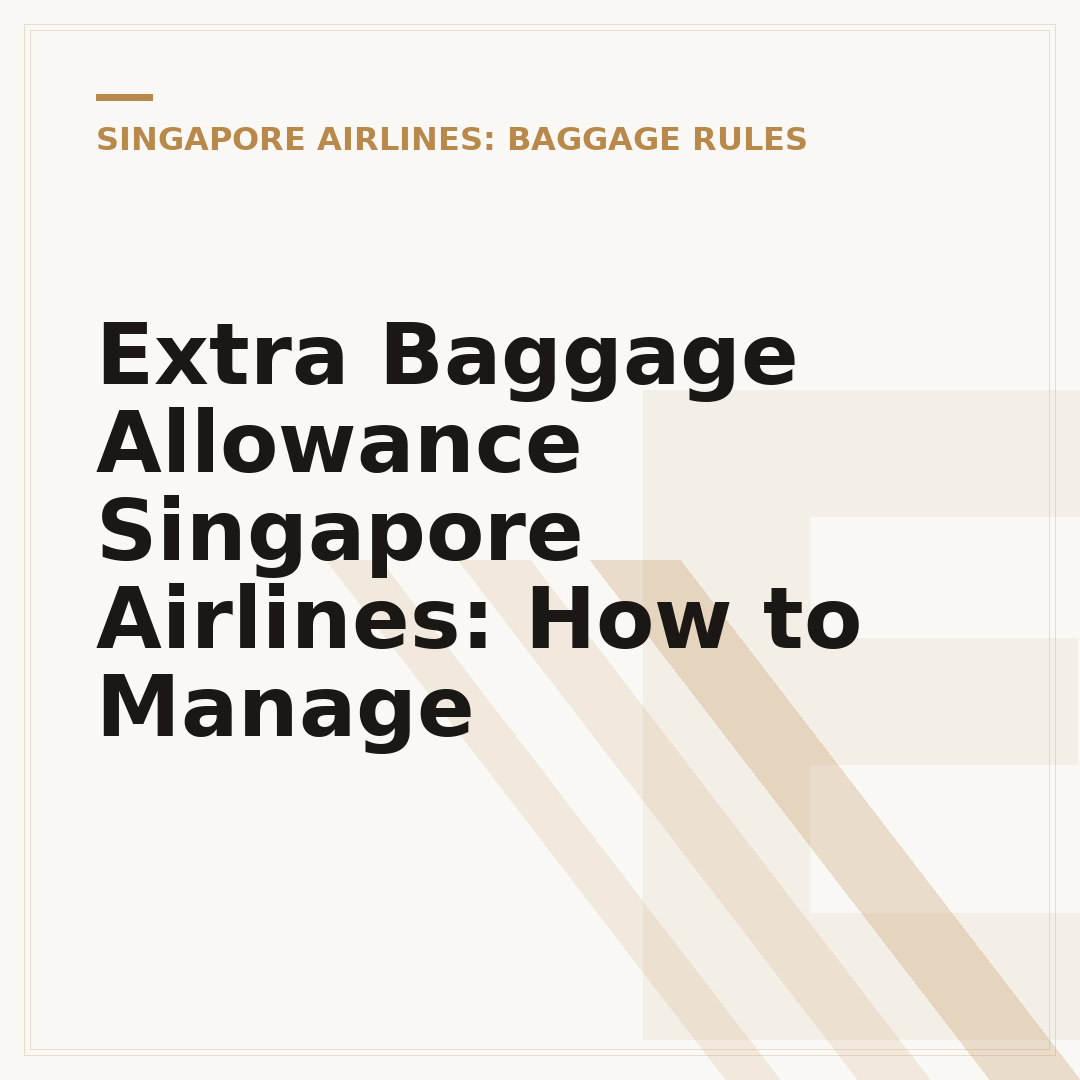 Extra Baggage Allowance Singapore Airlines: How to Manage