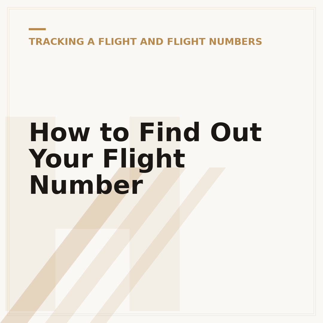 How to Find Out Your Flight Number