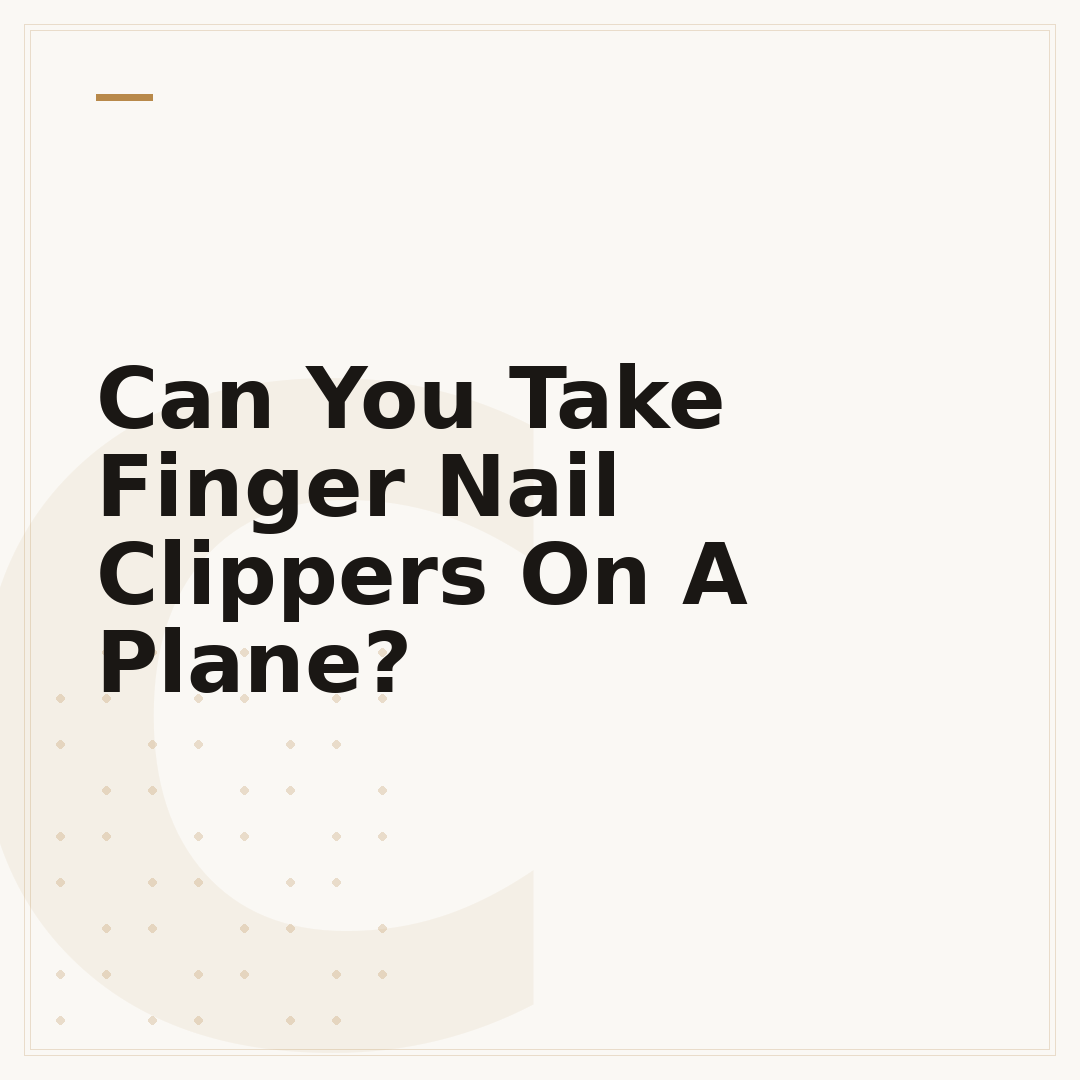 Can You Take Finger Nail Clippers On A Plane?