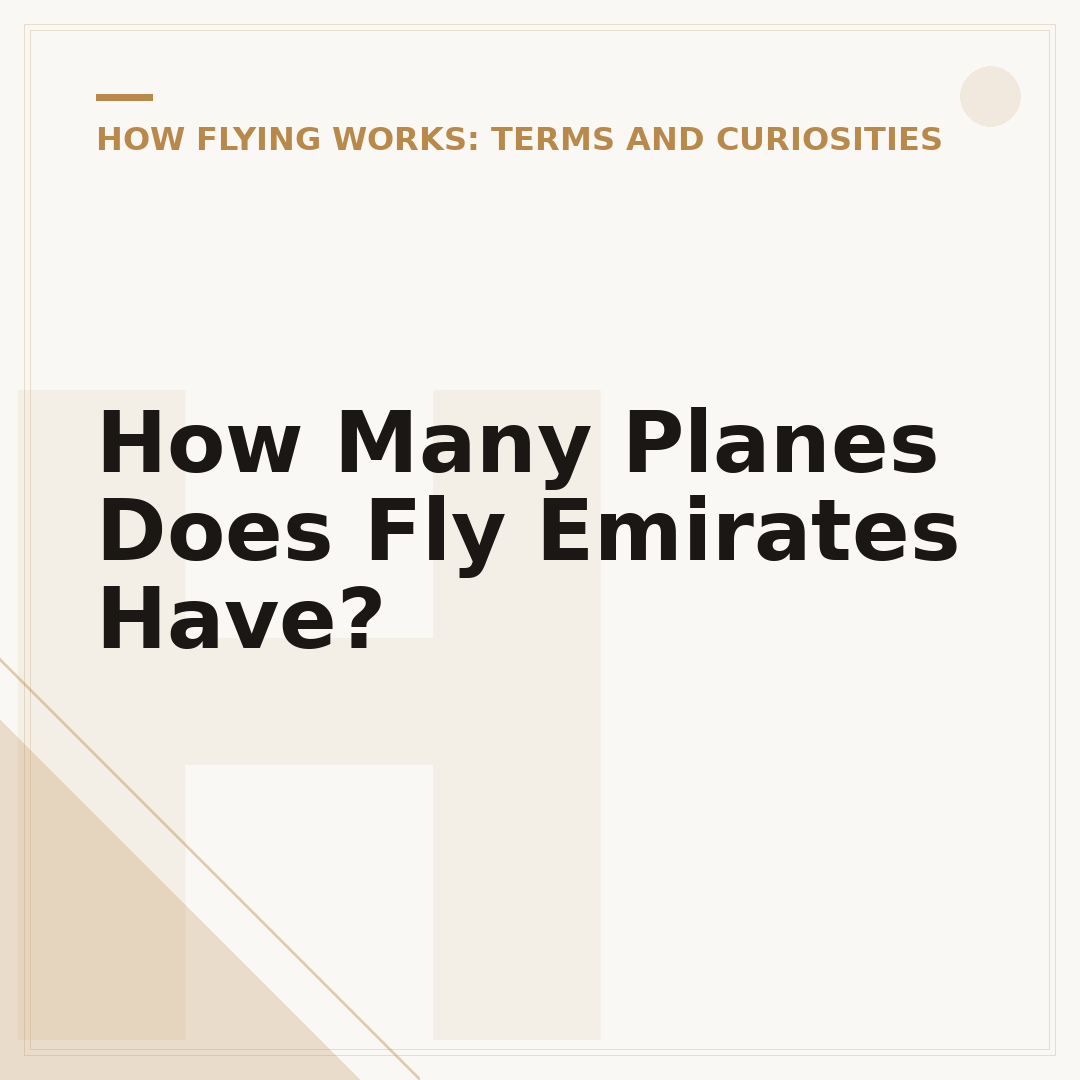How Many Planes Does Fly Emirates Have?