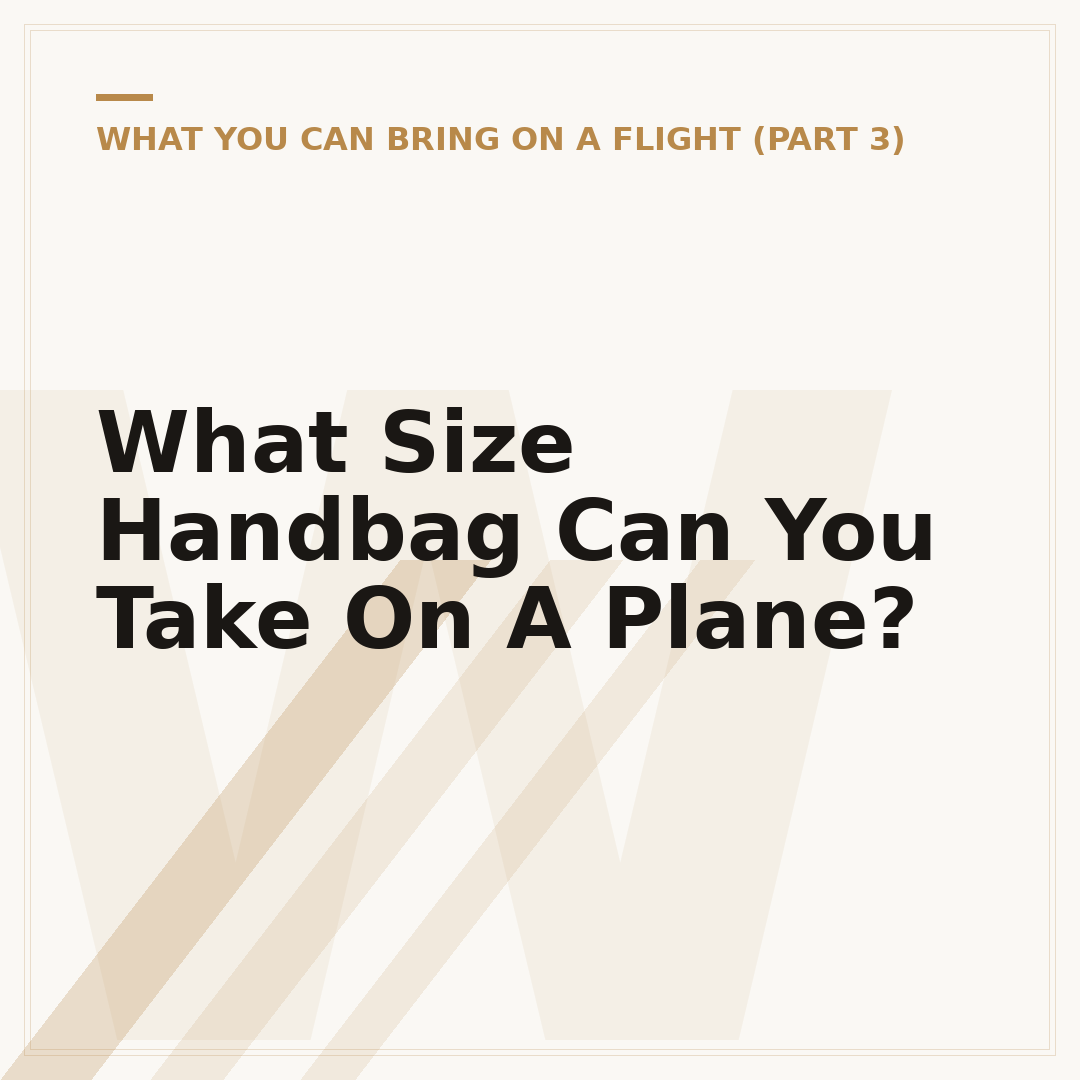 What Size Handbag Can You Take On A Plane?