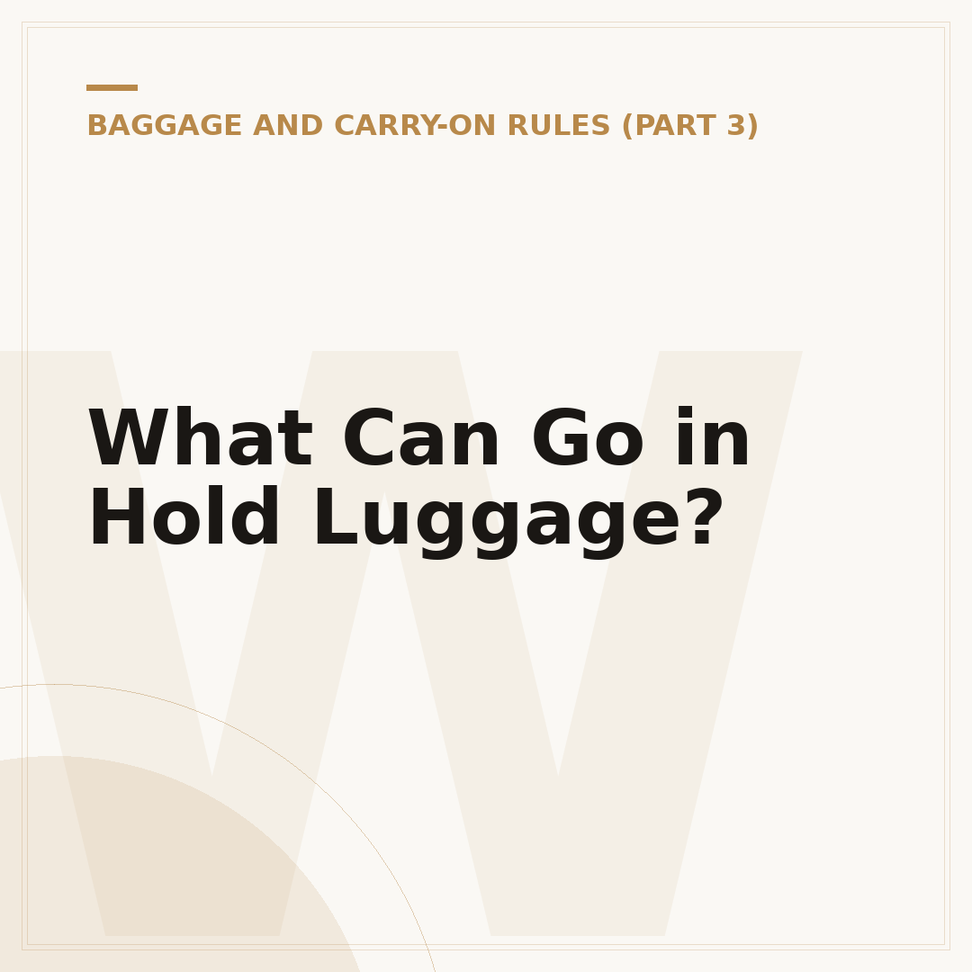 What Can Go in Hold Luggage?