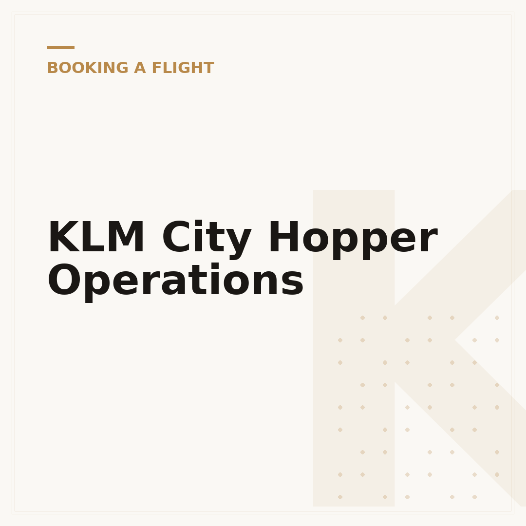 KLM City Hopper Operations
