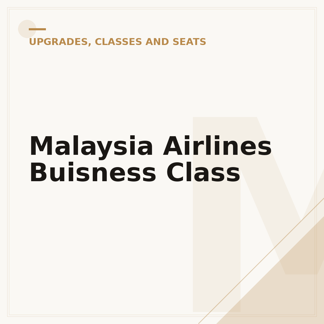 Malaysia Airlines Buisness Class