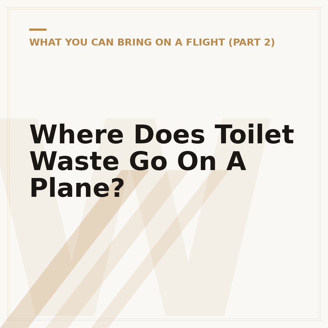Where Does Toilet Waste Go On A Plane?
