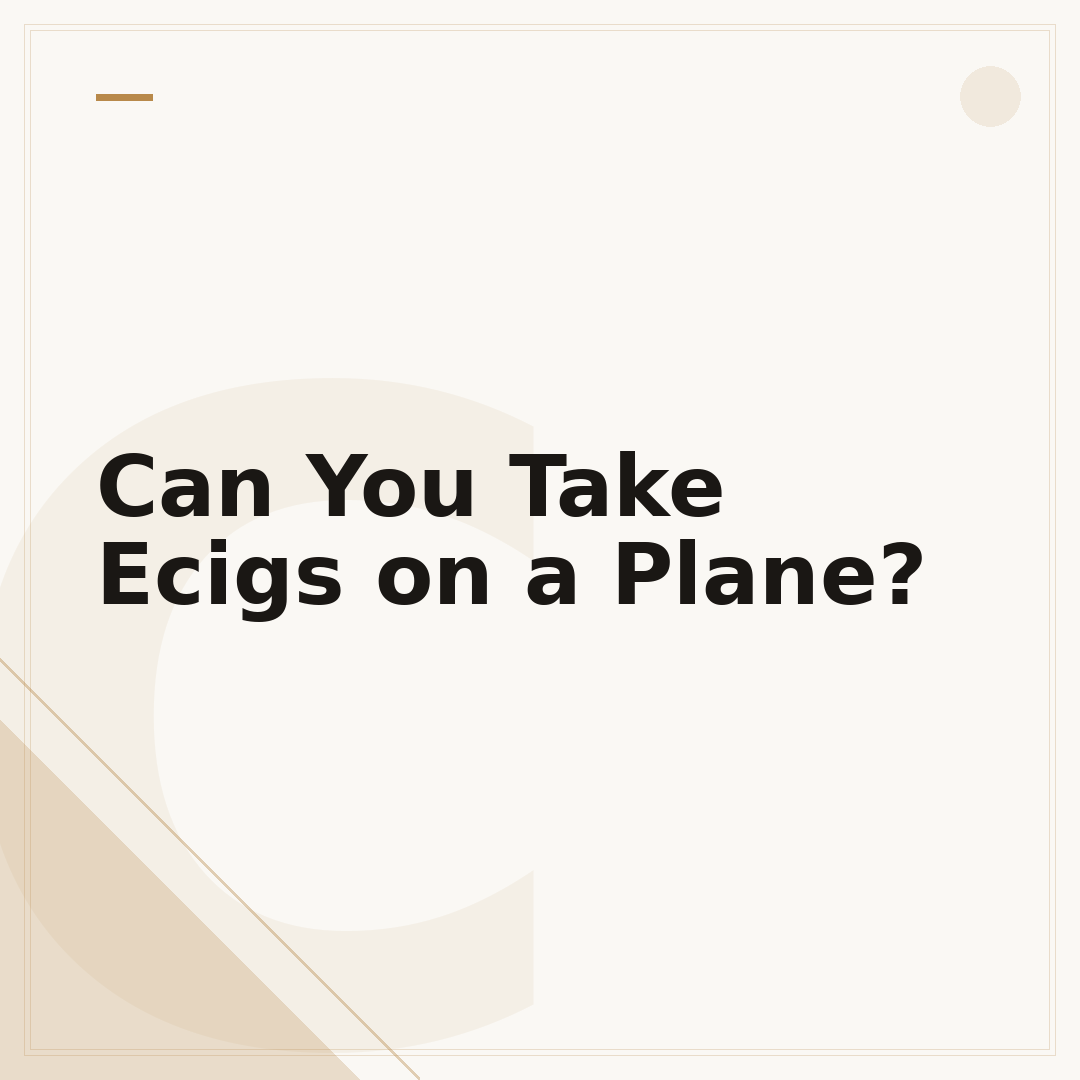 Can You Take Ecigs on a Plane?