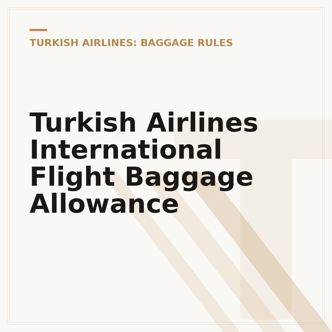 Turkish Airlines International Flight Baggage Allowance