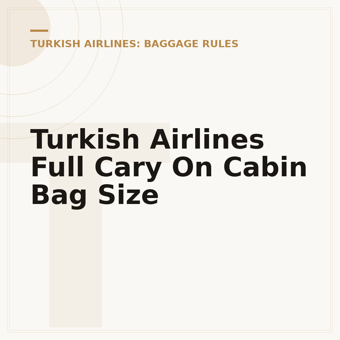 Turkish Airlines Full Cary On Cabin Bag Size