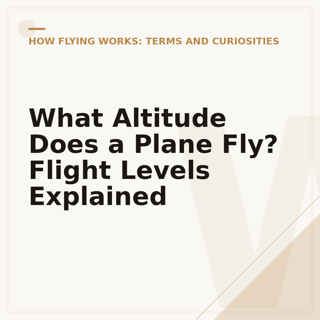 What Altitude Does a Plane Fly? Flight Levels Explained