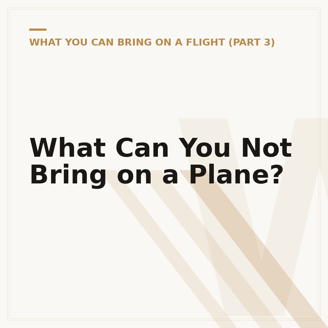 What Can You Not Bring on a Plane?