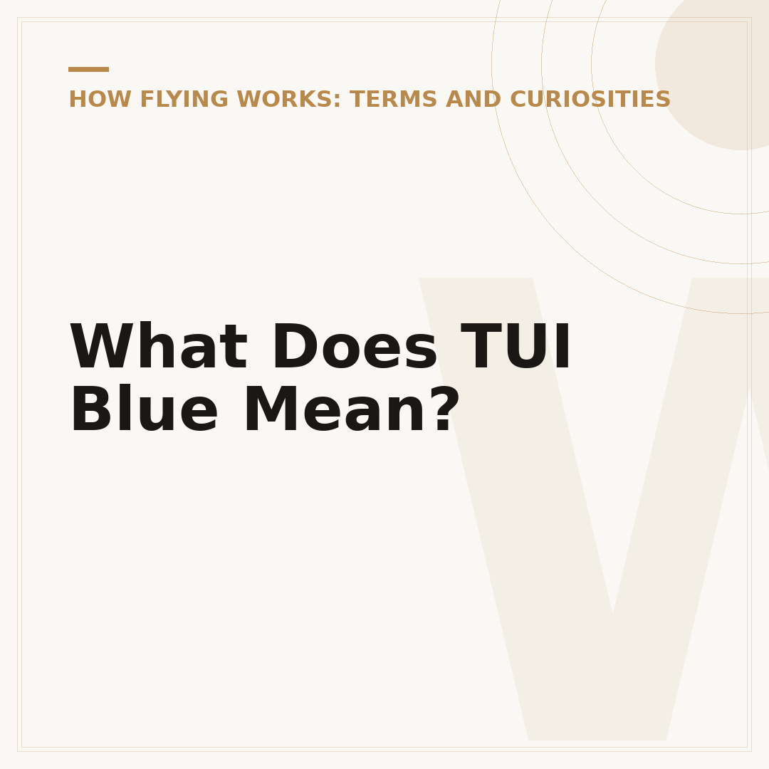 What Does TUI Blue Mean?