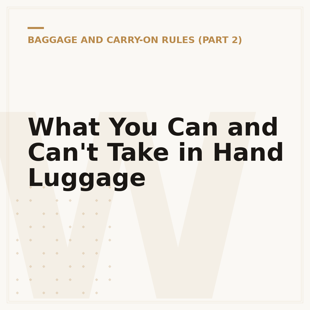What You Can and Can't Take in Hand Luggage