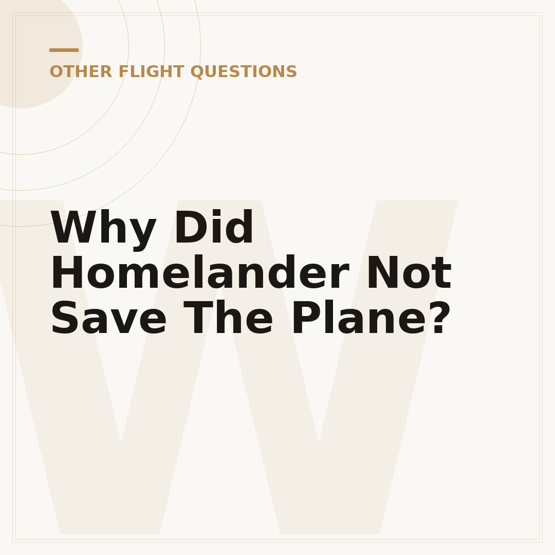 Why Did Homelander Not Save The Plane?